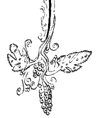 Grappe de raisin (enluminure du XIIIe siècle)