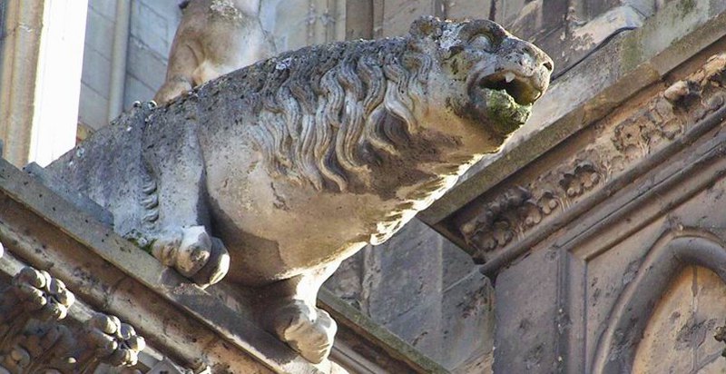 Gargouille en forme d'ours de la cathédrale de reims (cliché Fabrice Mrugala, 2007