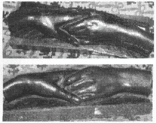 Mains jointes de Sarah Bernhardt et Louise Abbéma, cire perdue de Valsuani (© Janet & Co, 1999)