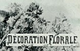 Décoration florale (dessin de couverture, 1907)
