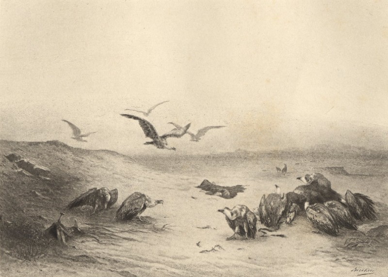 Narcisse Berchère: Après le Simoun (1864)