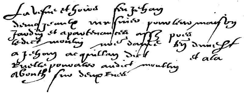 La veuve du meunier Jean Demazeaulx en 1500 (déclaration des hôtes de Notre-Dame)