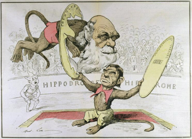 André Gill: La vulgarisation en France par Emile Littré de la théorie de Charles Darwin (caricature)